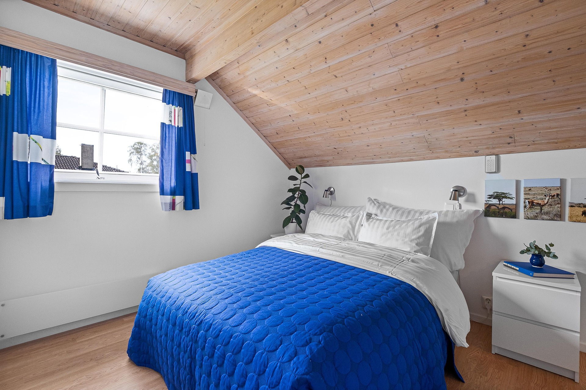 Layering Textures: How Throw Pillows, Rugs, and Blankets Turn a Plain Room Into a Cozy One.